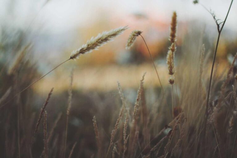 Quasi numquam tenetur non sunt earum aut